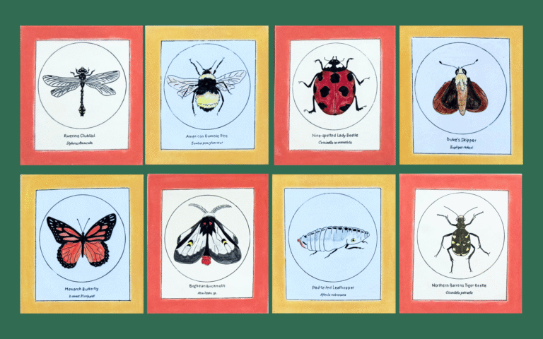 ARTspace: For the Love of Bugs