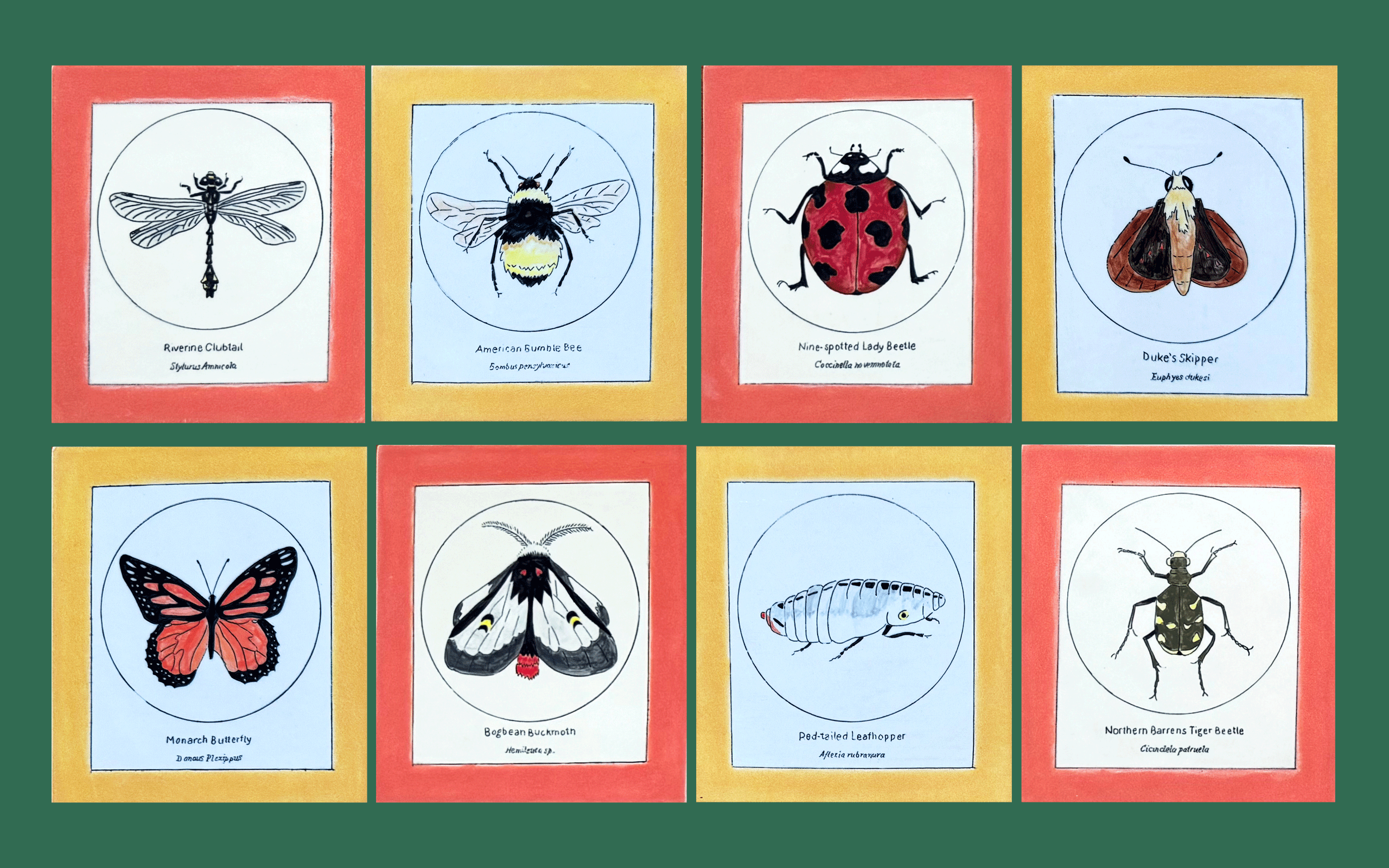 ARTspace: For the Love of Bugs