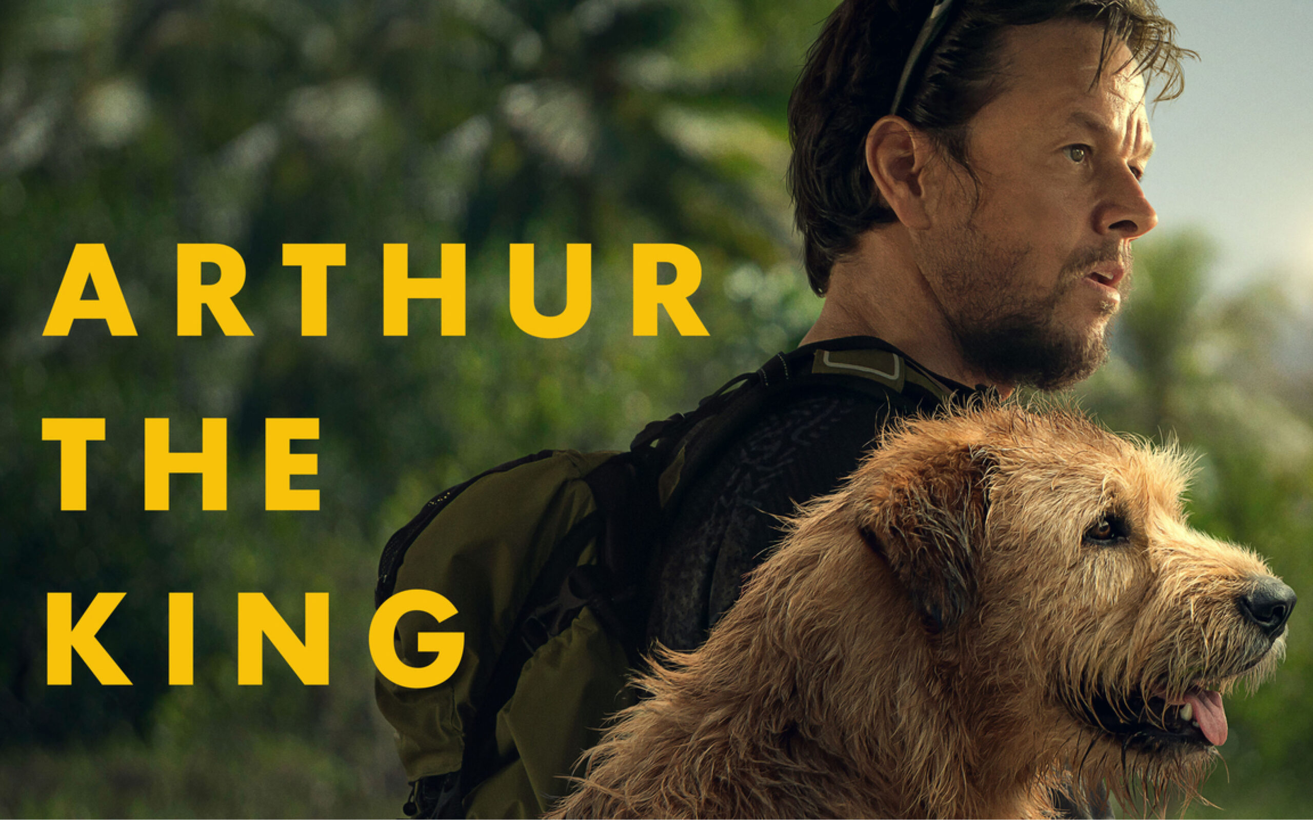 Movie Night featuring Arthur the King