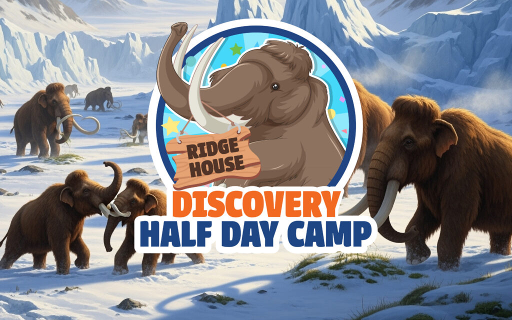 Picture of wooly mammoths on glaciers with the Discover Half Day Camp logo in the center.