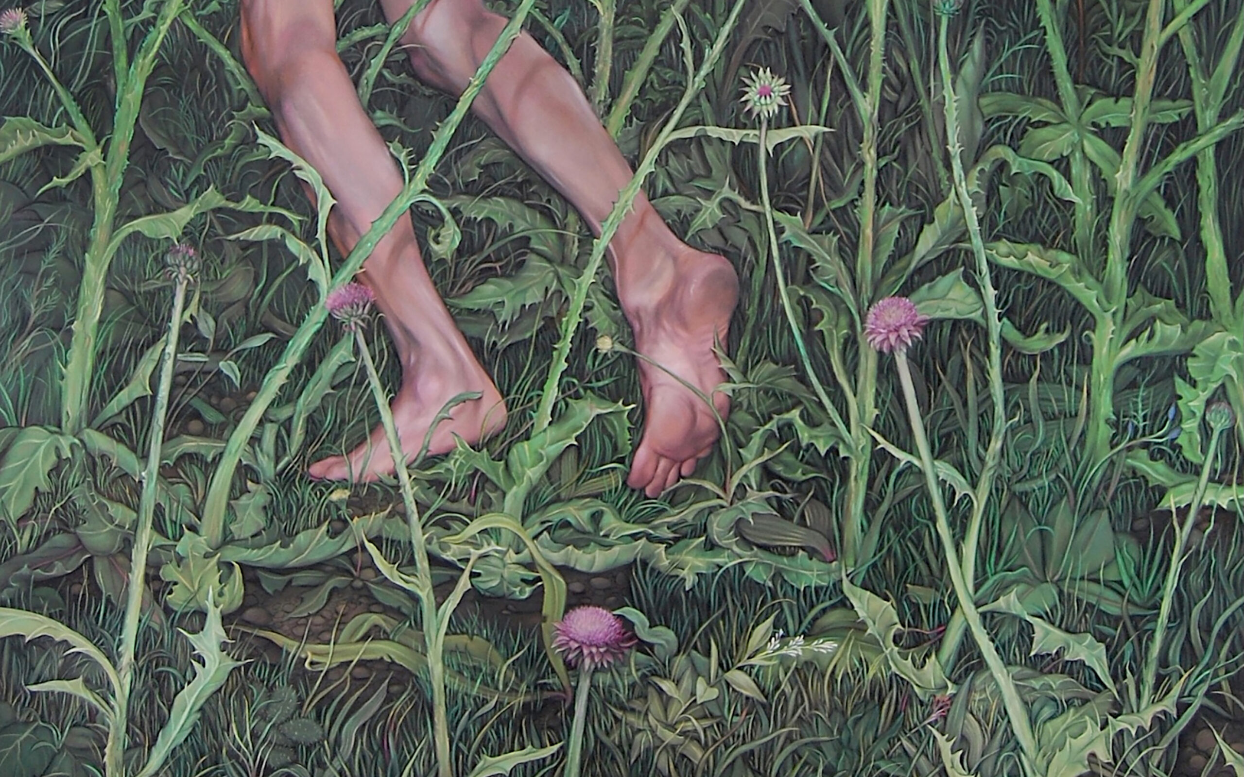 Cultivation Blues exhibit promo with a persons legs laying in a grassy area with flowers blooming.