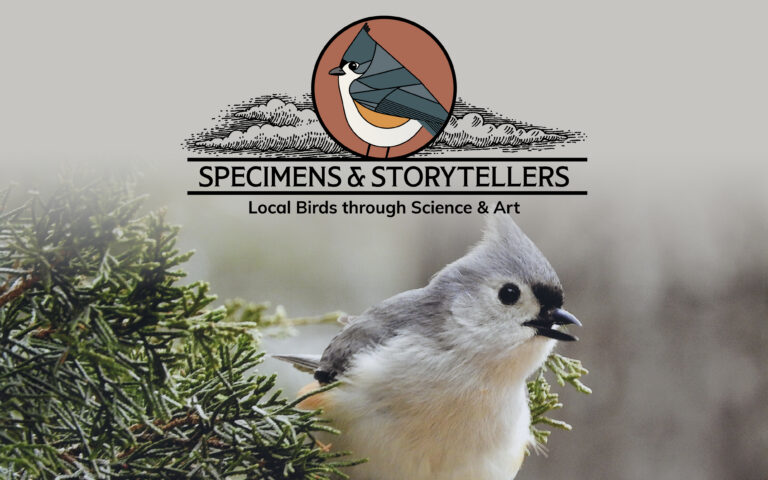Poster with a bird on it.
