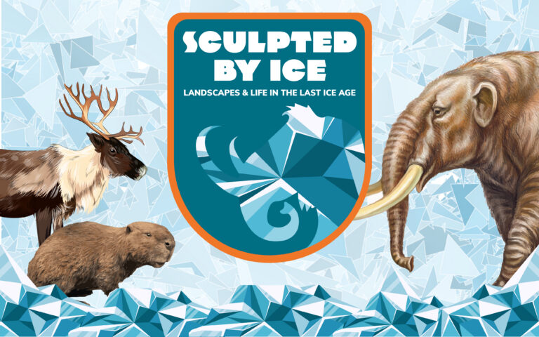 Poster with a beaver, deer and mammoth.