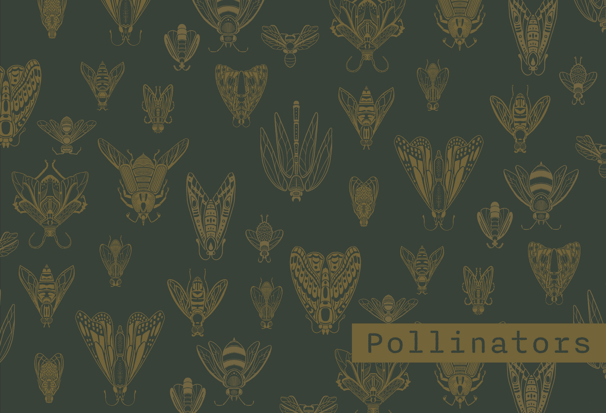 Pollinators_Web