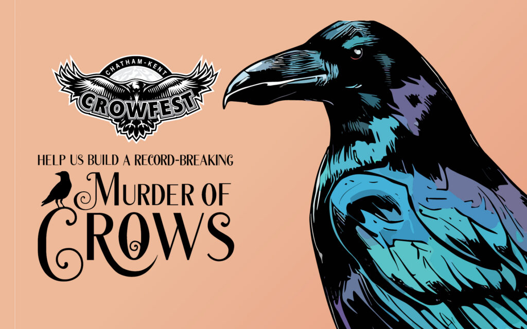 Crow graphic with the Crowfest logo.